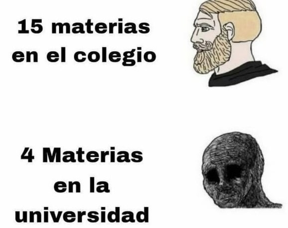 15 materias en el cole, 4 en la uni y aún así sufro más - meme