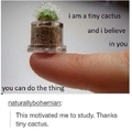 thanks cactus :3