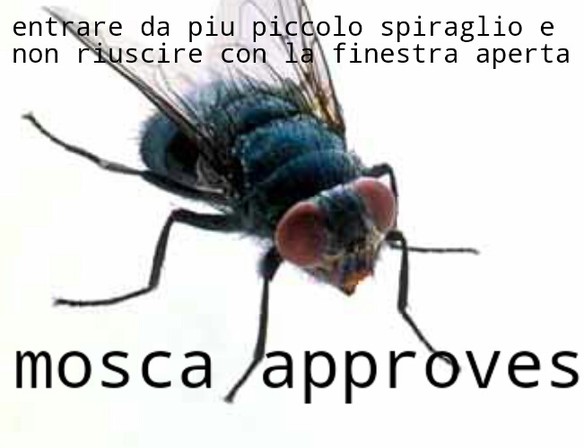 mosca approves - meme