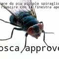 mosca approves