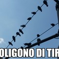 Poligono di Tiro