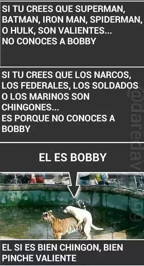 boby - meme