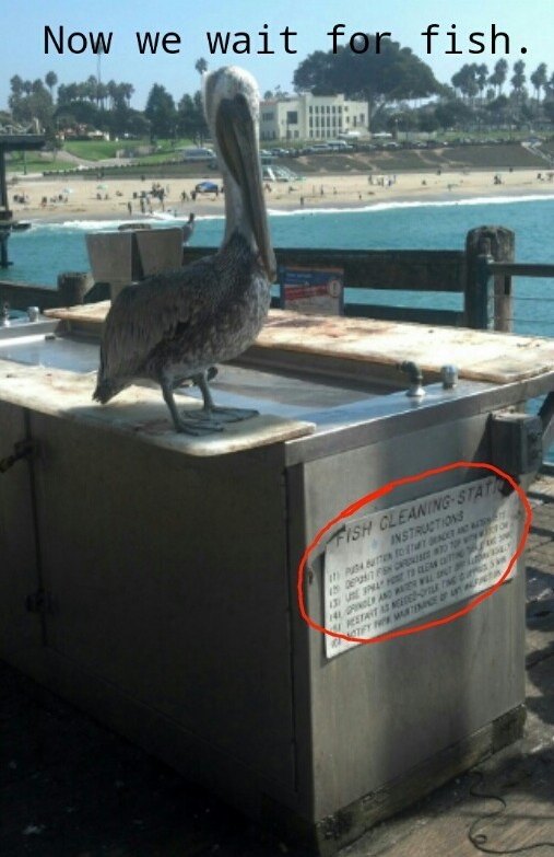 I was at the pier today and saw this. - meme
