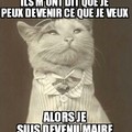 Chat Maire