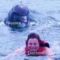 An apple 