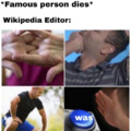 Wikipedia editor