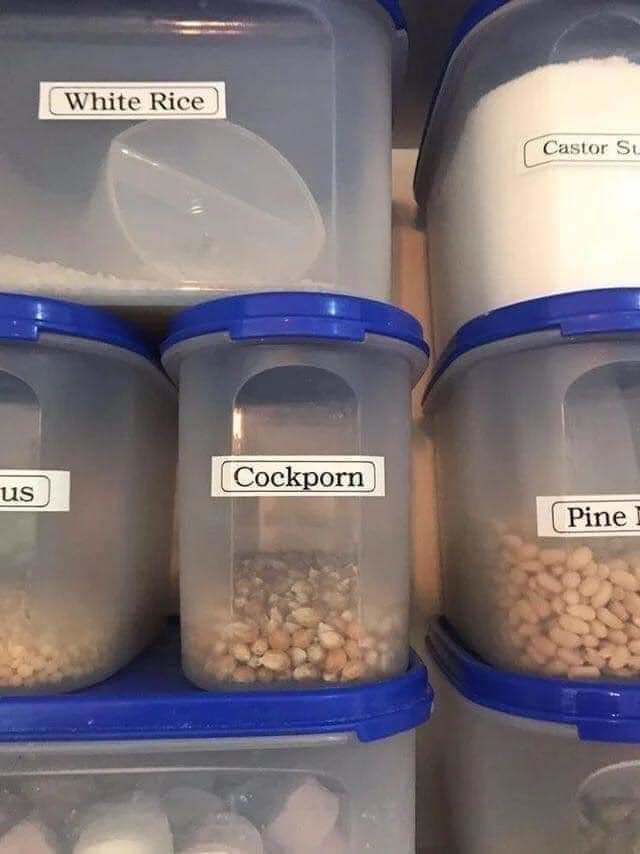 CockPorn - meme