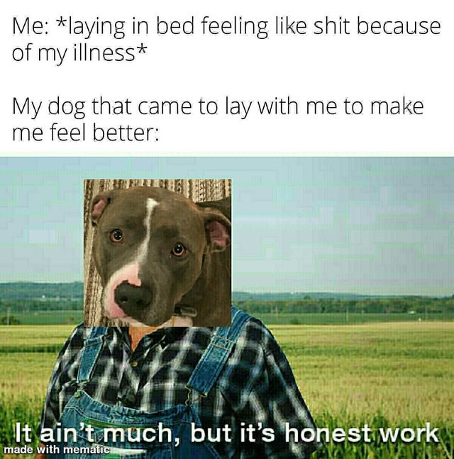 Doggo making some honest work - meme