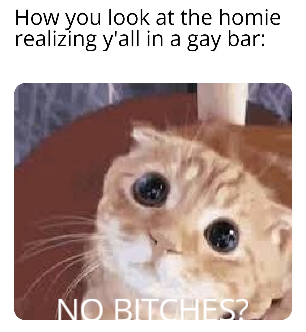 No homo - meme