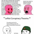 Left Wing Conspiracy
