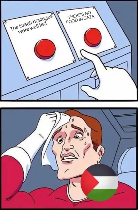 Check mate pro palestines - meme