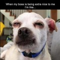 commented item thumbnail