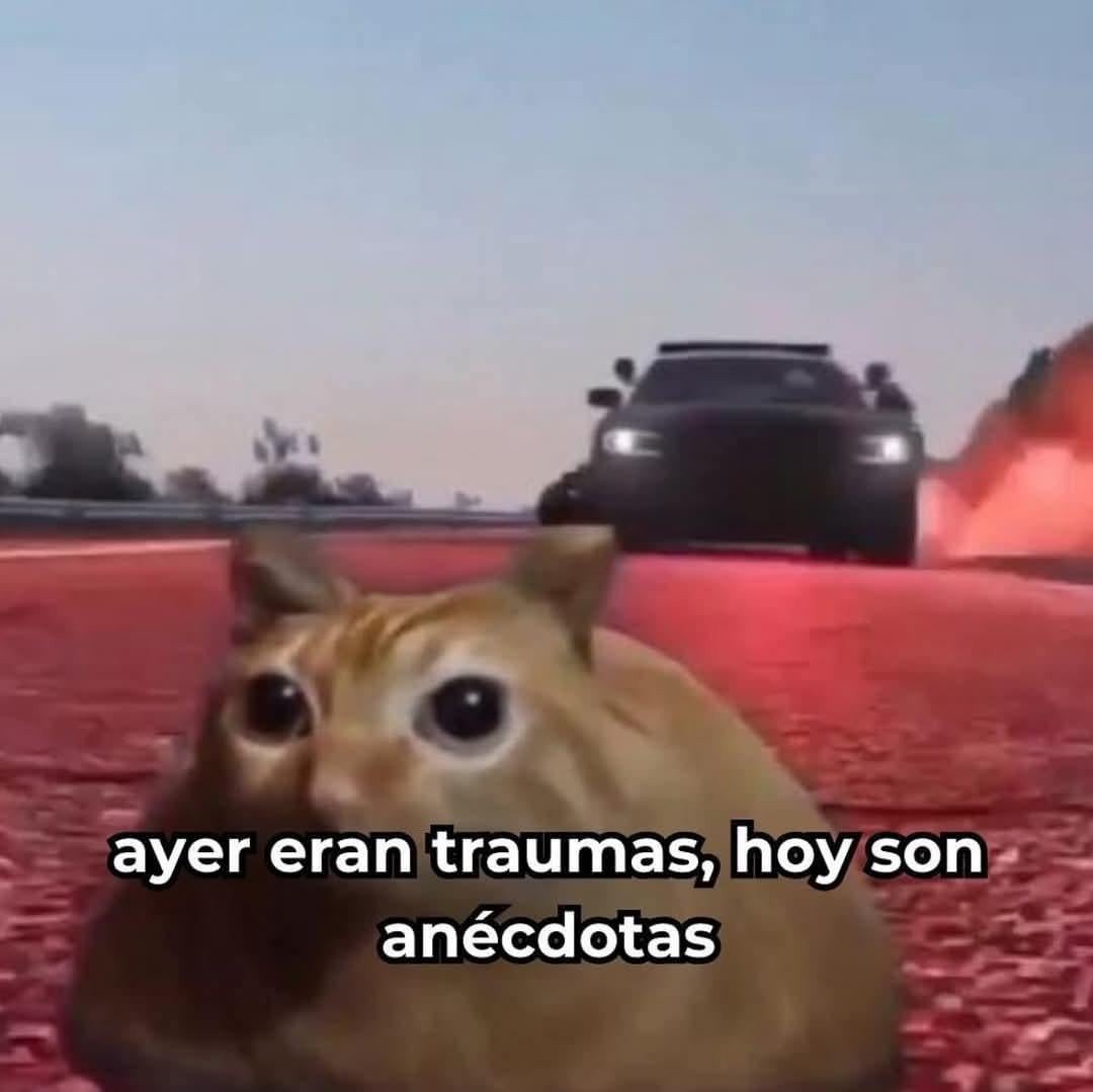Auer eran traumas hoy son anecdotas - meme