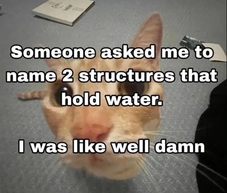 Name 2 structures that hold water? Well, duh - meme