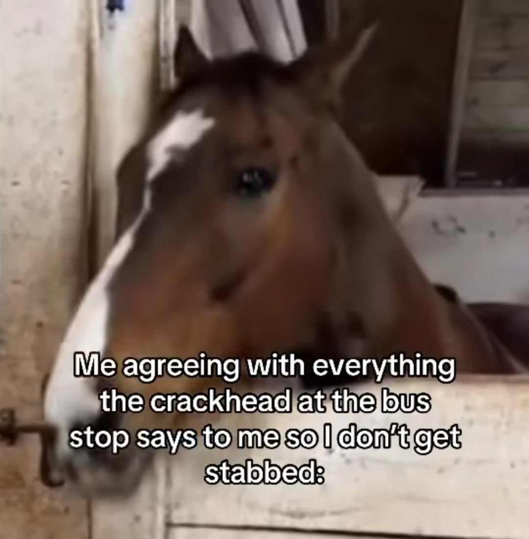 Title - meme