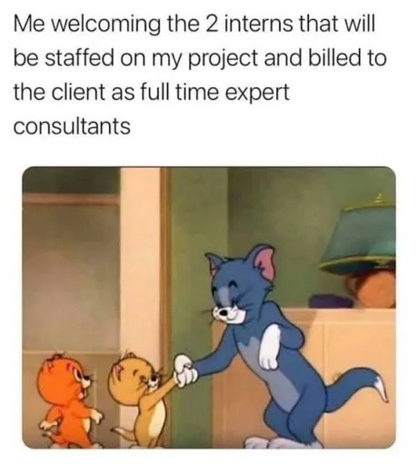 When your interns are billed like senior devs - meme