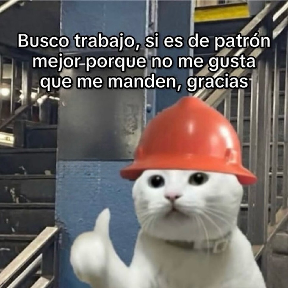 busco trabajo pero si soy el patrón mejor porque no me gusta que me manden - meme