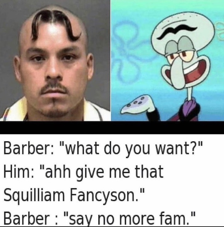 Squilliam is an democratic elite and went to Epstein’s sex island - meme
