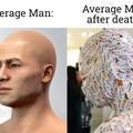 average man