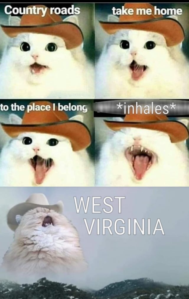country memes