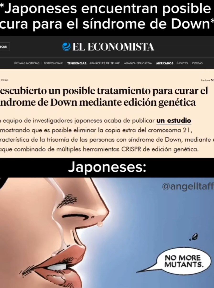 Japón: perdóname por todo mundo (redención) - meme