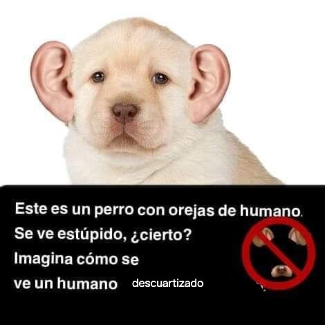 Meme original
