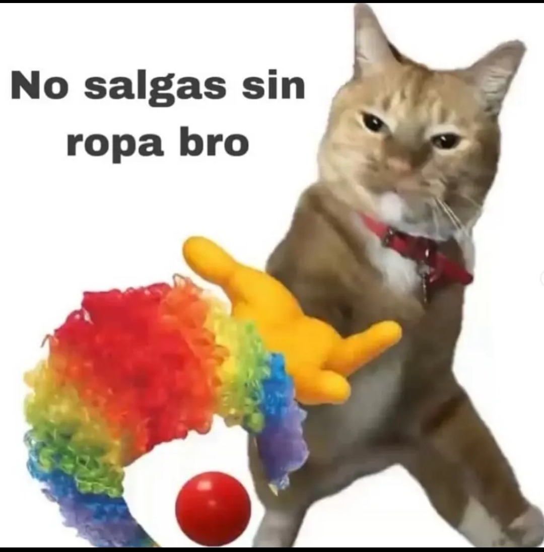 Para los baiters - meme