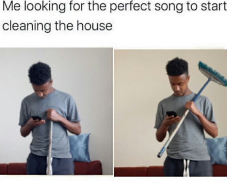 Perfect song - meme