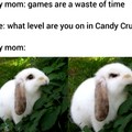 Mad bunny