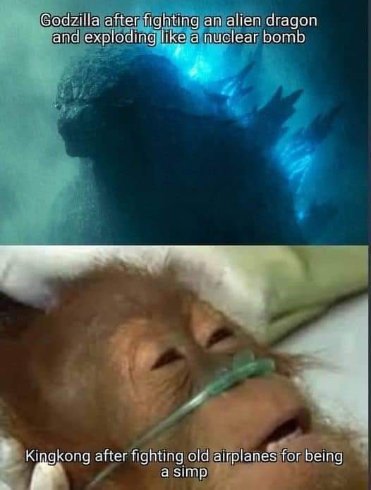 Godzilla for ever - meme