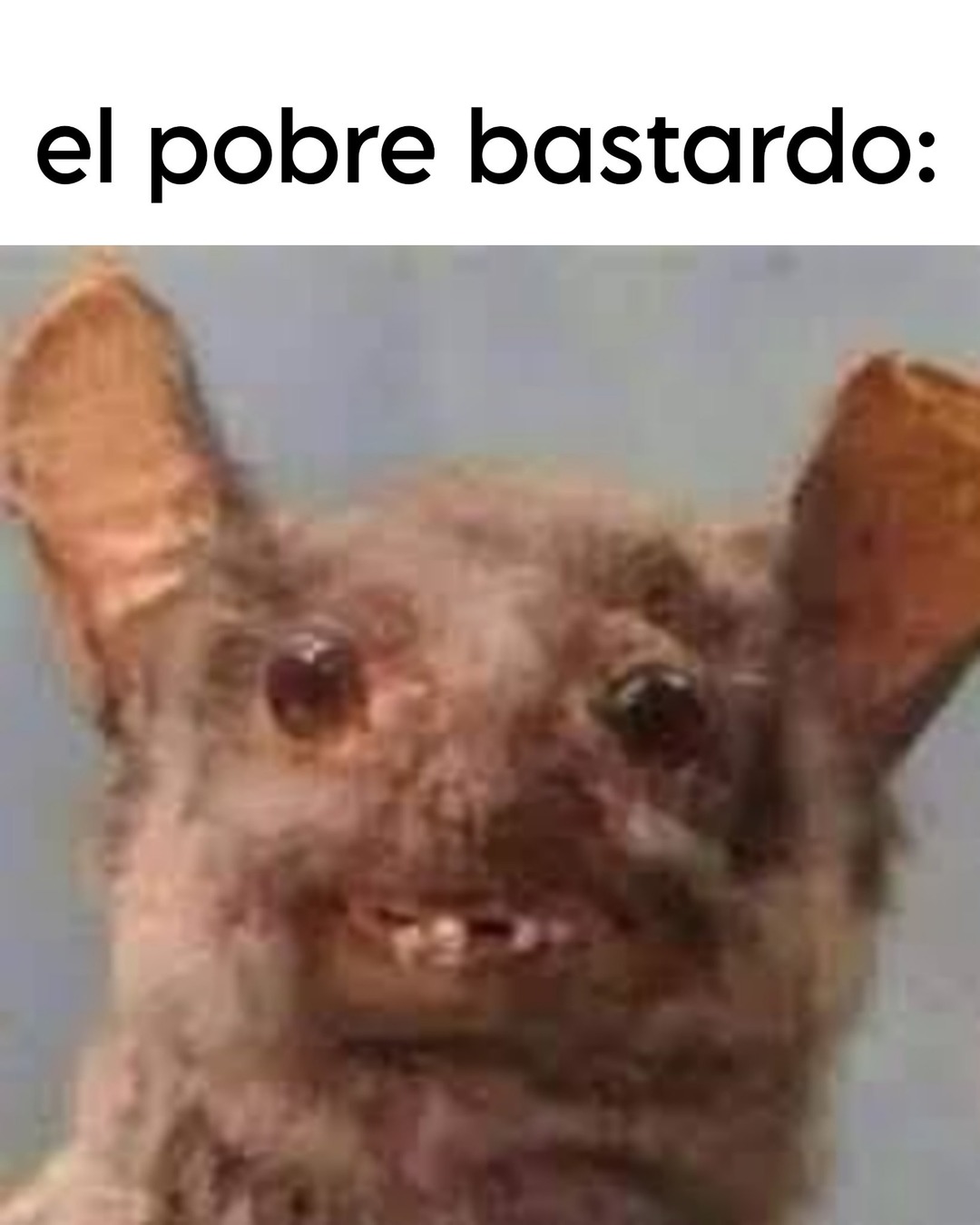 El pobre bastardo: - meme