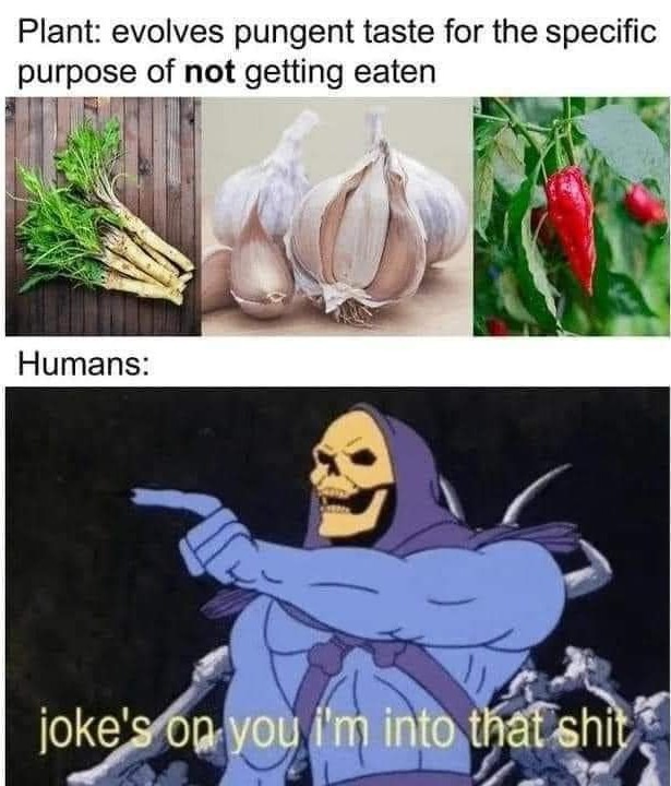 Who doesn't love spicy food - meme