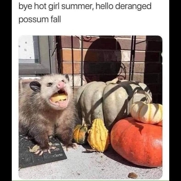 Title - meme