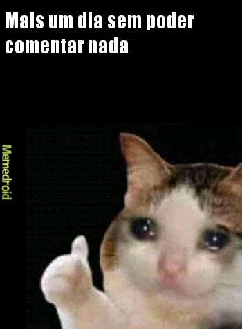 Não consigo comentar nada :( - meme