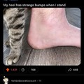commented item thumbnail