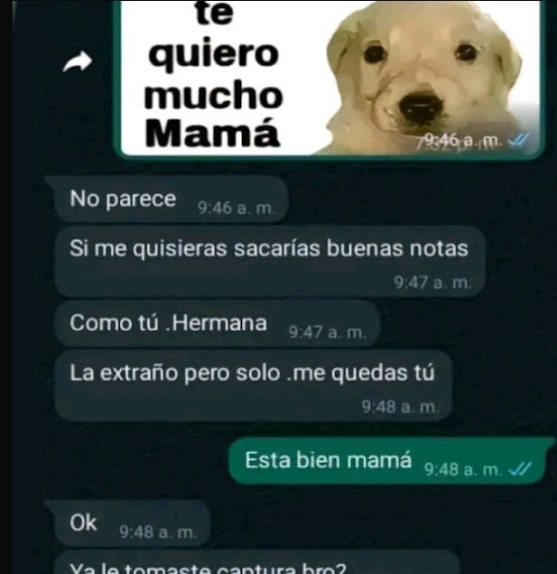 mamá modo tóxico - meme