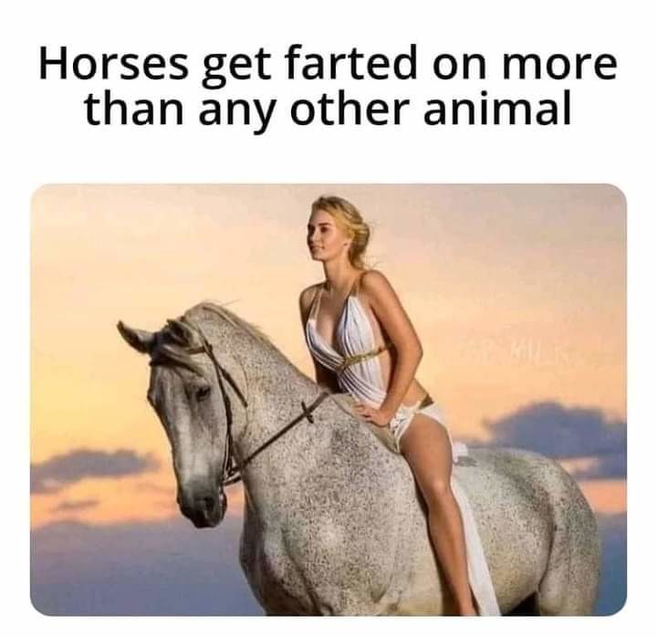 Poor horsey - meme