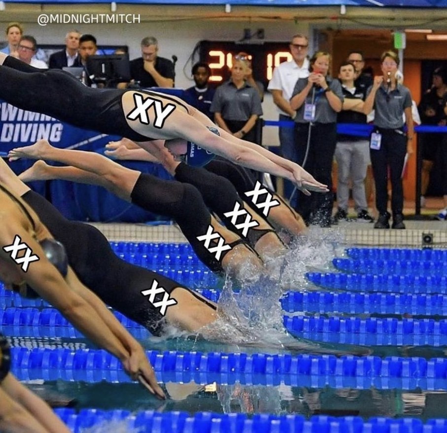 How chromosomes work - meme