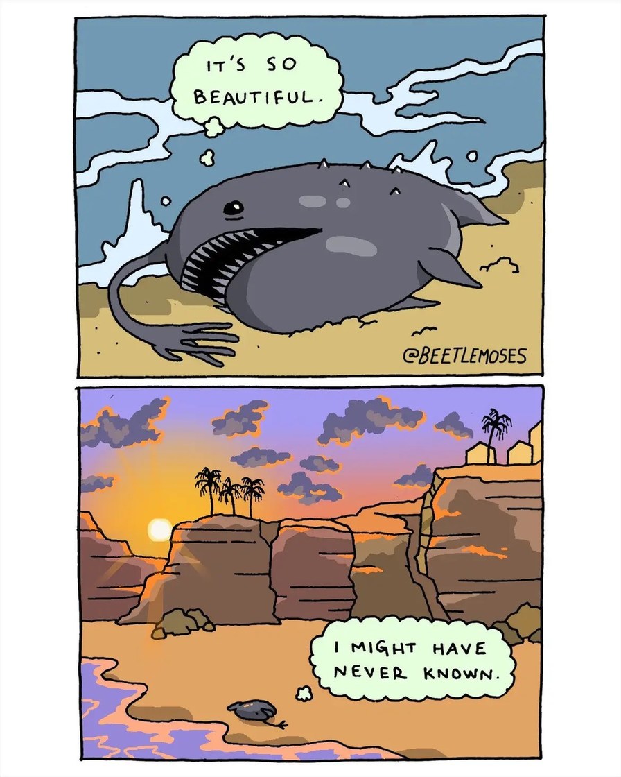 Worth it - meme