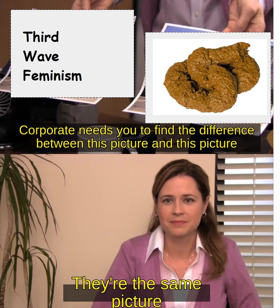 thrdwavefeminismizturds - meme
