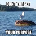 No olviden su propósito