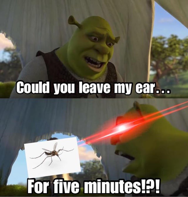 mosquitos during summer - meme