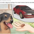 Mrs. Peterson's Dog Gets Fucked Up