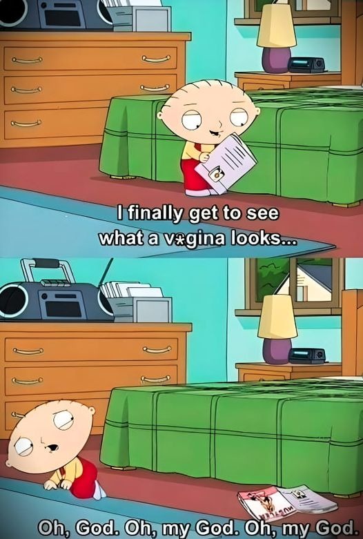 Narrator - "Stewie grew up to be a memedroid moderator, and he never ever saw a vagina again". Cue National Geographic soundtrack