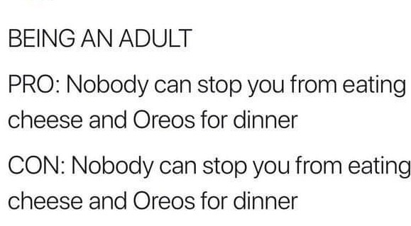 Adulting - meme