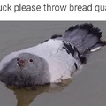 Good duck
