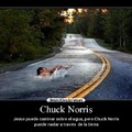 ¡¡Eres el mejor,chuck norris!!