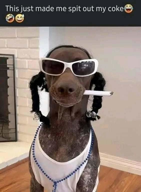 Snoop Doggy Dogg - meme