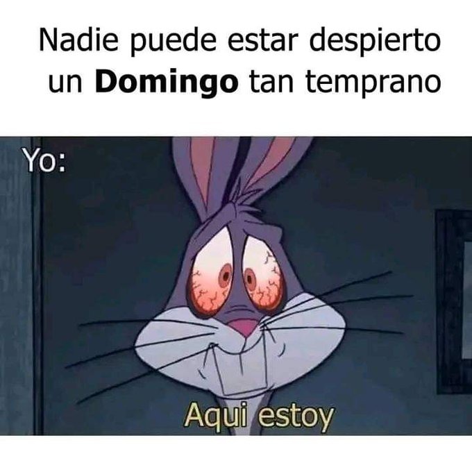 Yo cada domingo - meme