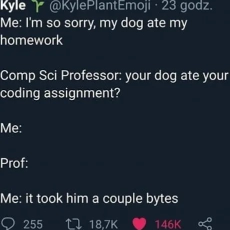 programming joke - meme